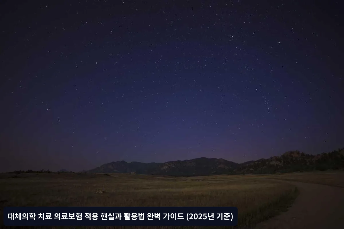 실비보험 청구가 어려운 대체의학 치료