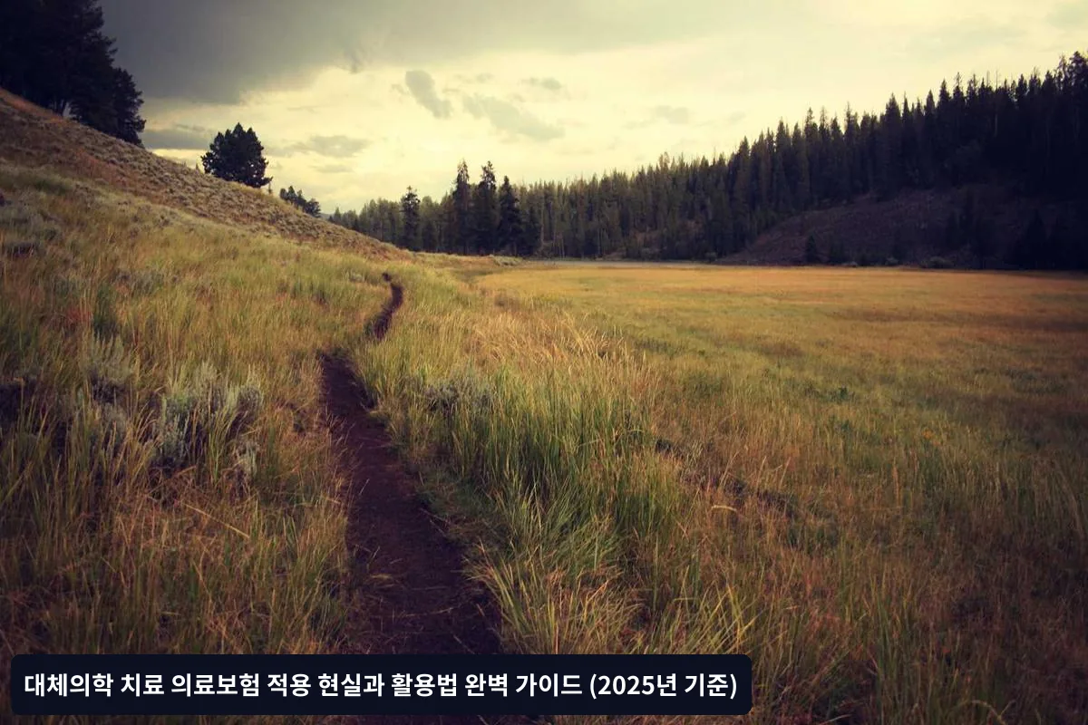 2025년 대체의학 보험 트렌드와 전망