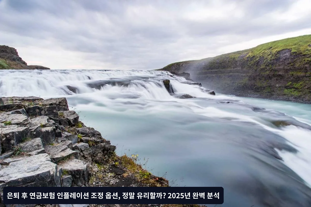 인플레이션 조정 옵션의 기본 구조