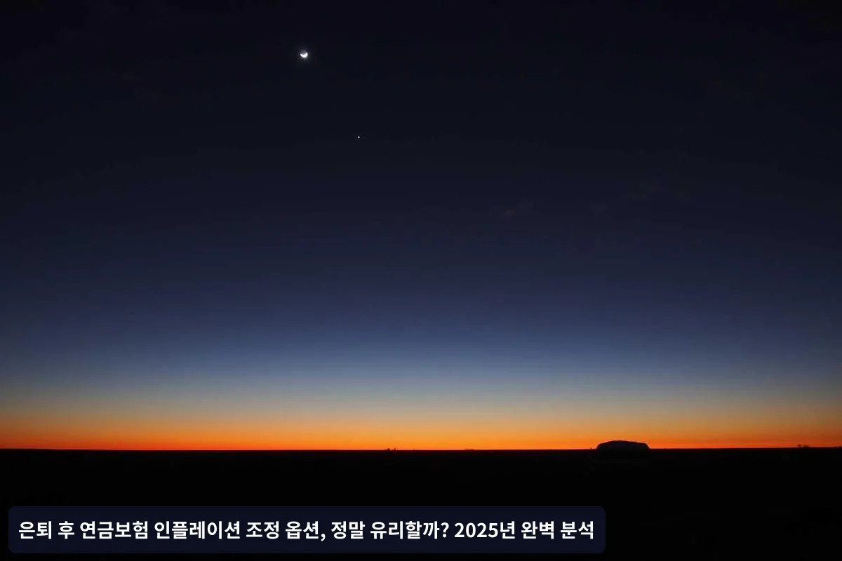 대안적 인플레이션 대응 방법