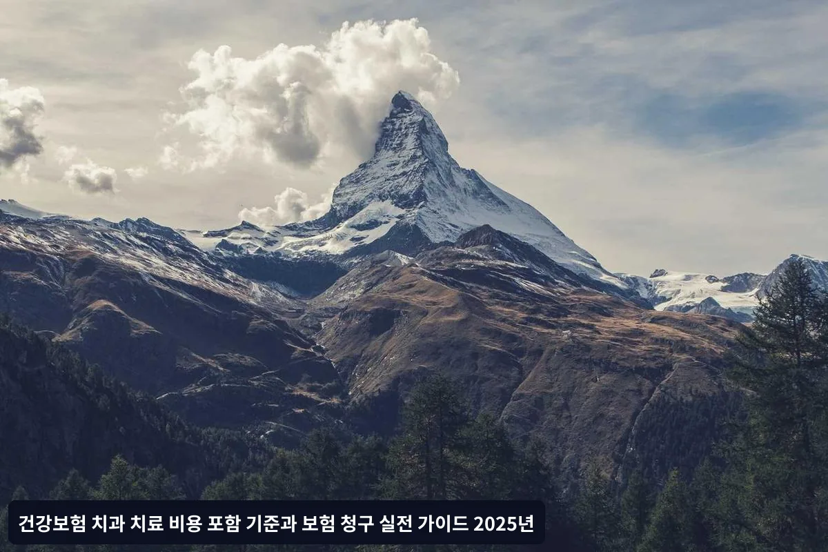 보험 청구 절차와 필요 서류