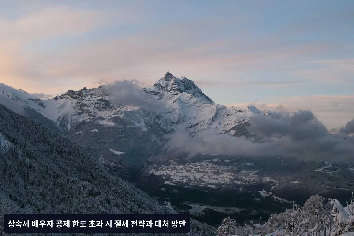 사전 절세 전략