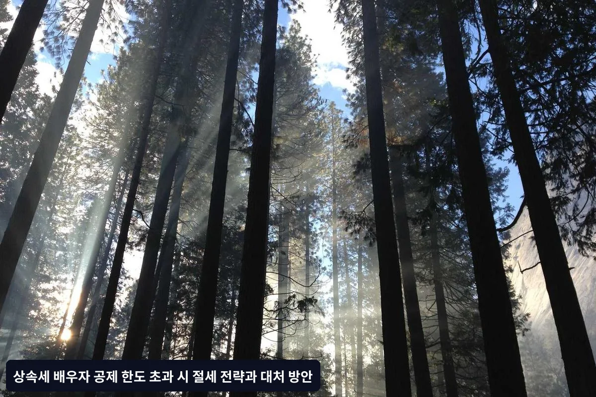 실무상 주의사항