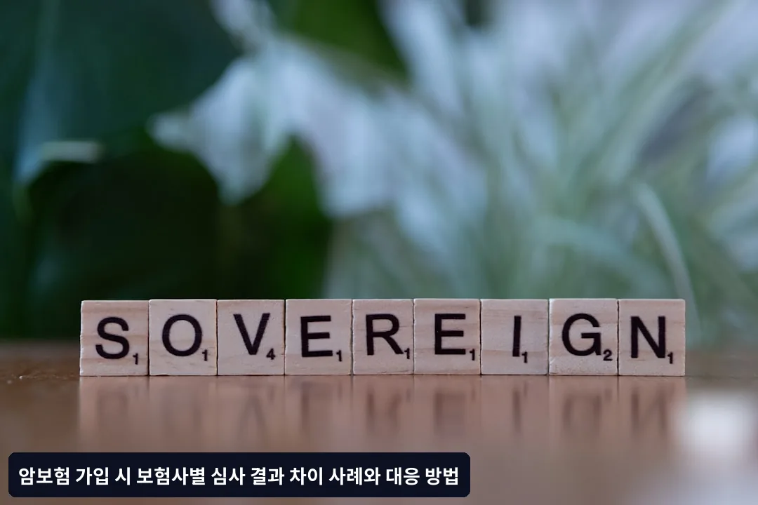 보험사별 심사 결과가 다른 이유
