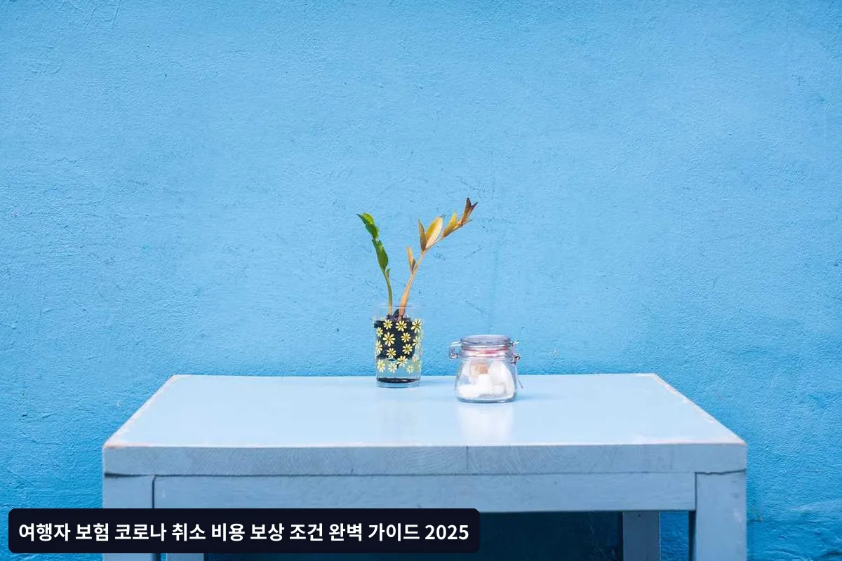 보상 가능 항목