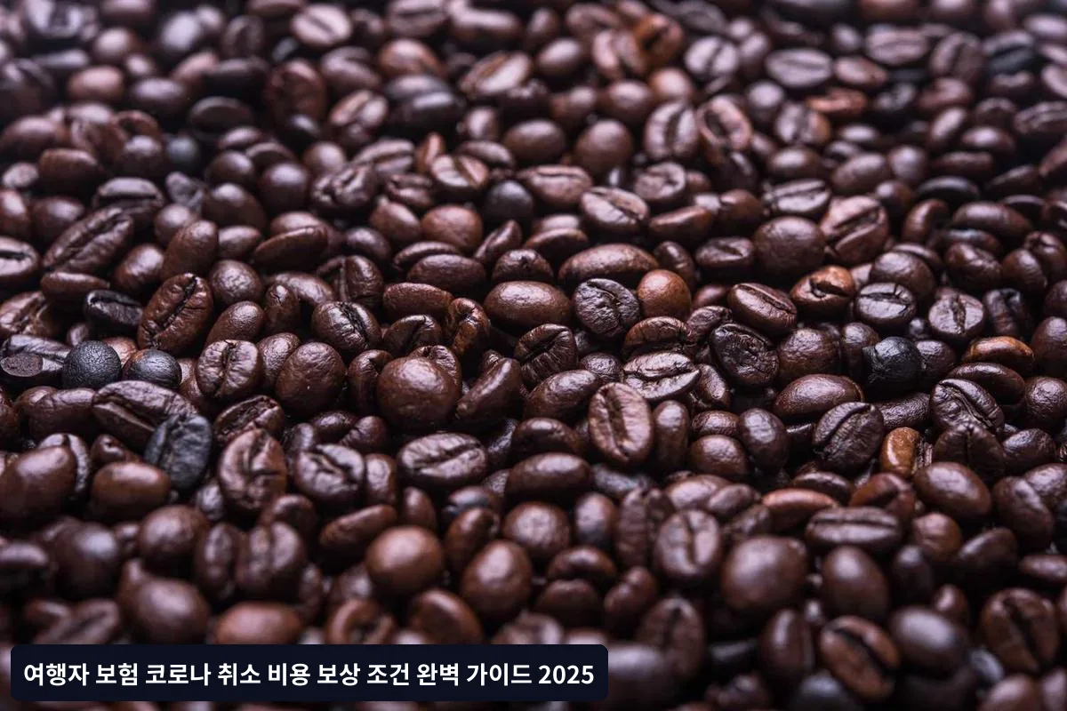 시간 제한 주의사항