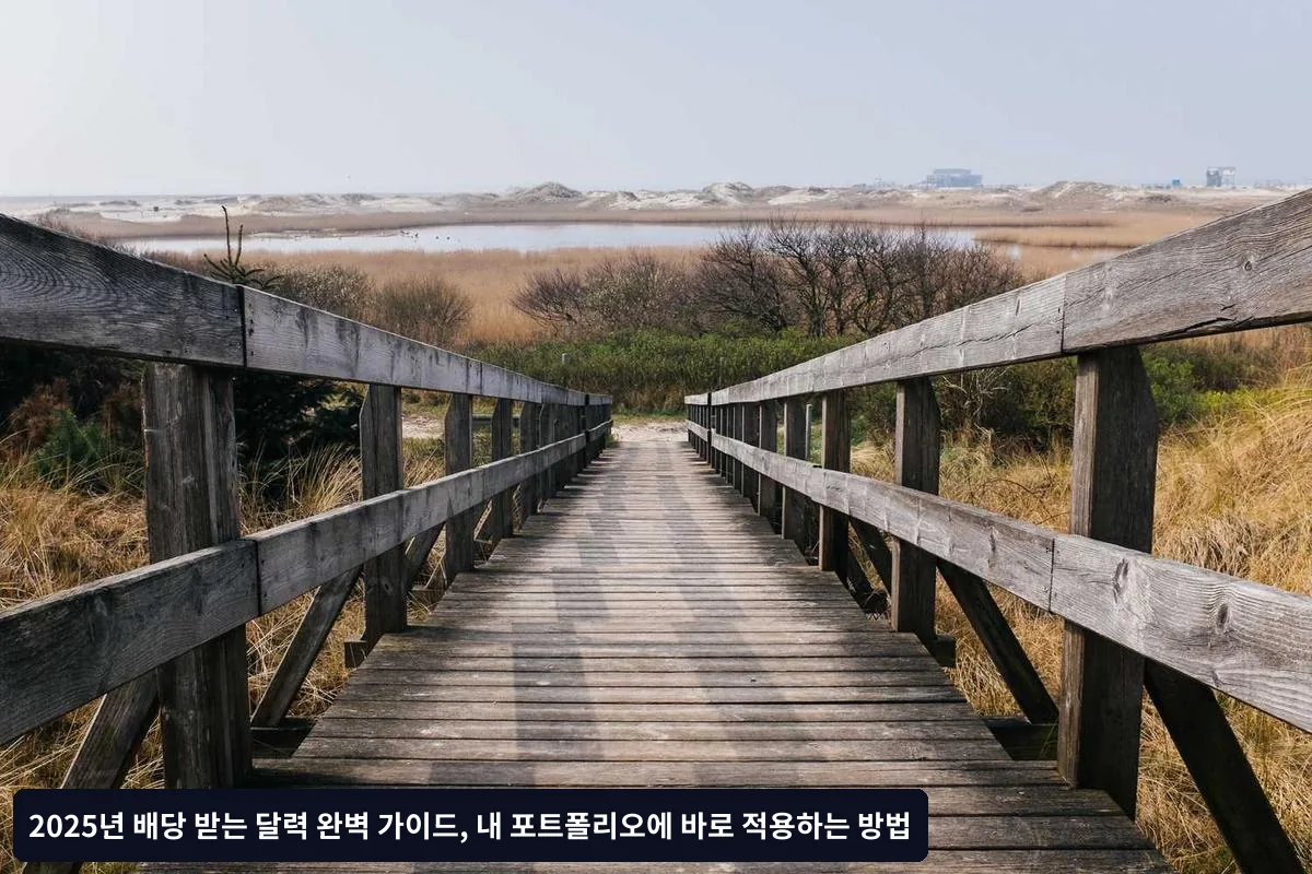 배당 함정 종목 구별법