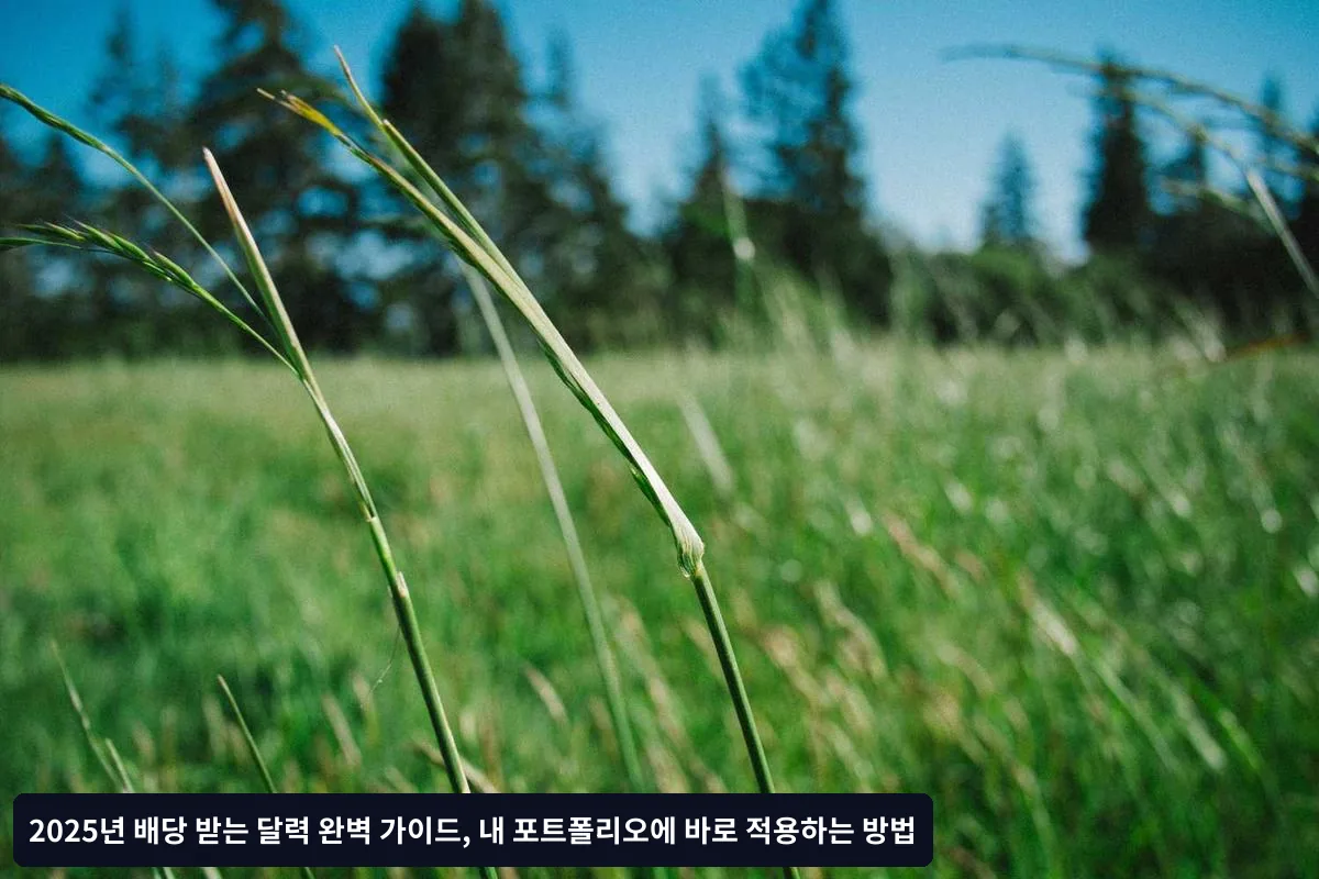 Q3. 배당금 재투자는 언제 하는 것이 좋나요?
