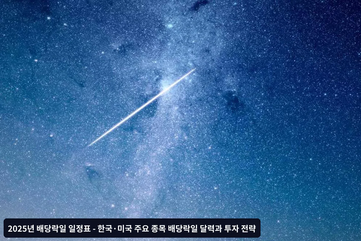 실제 투자 경험담