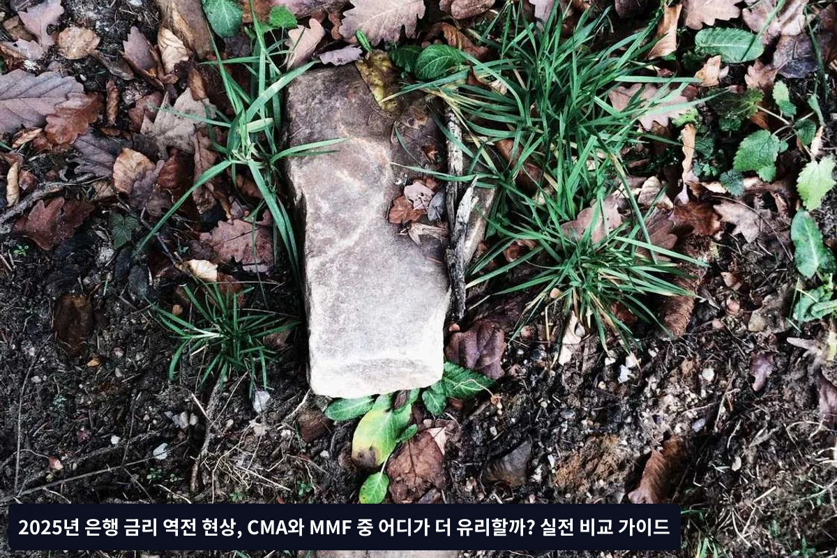 안전성 측면에서 어떤 차이가 있을까?