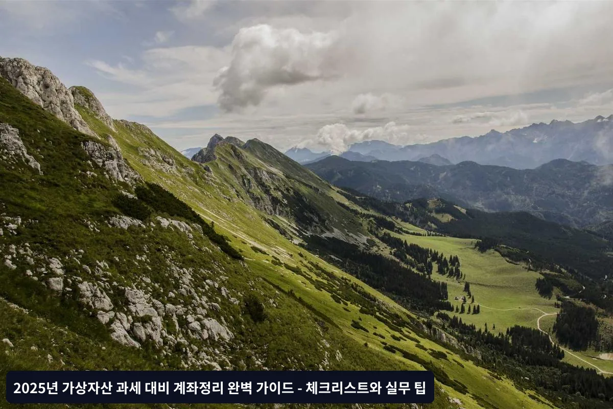 2단계: 소액 잔고 및 미니밍 자산 정리