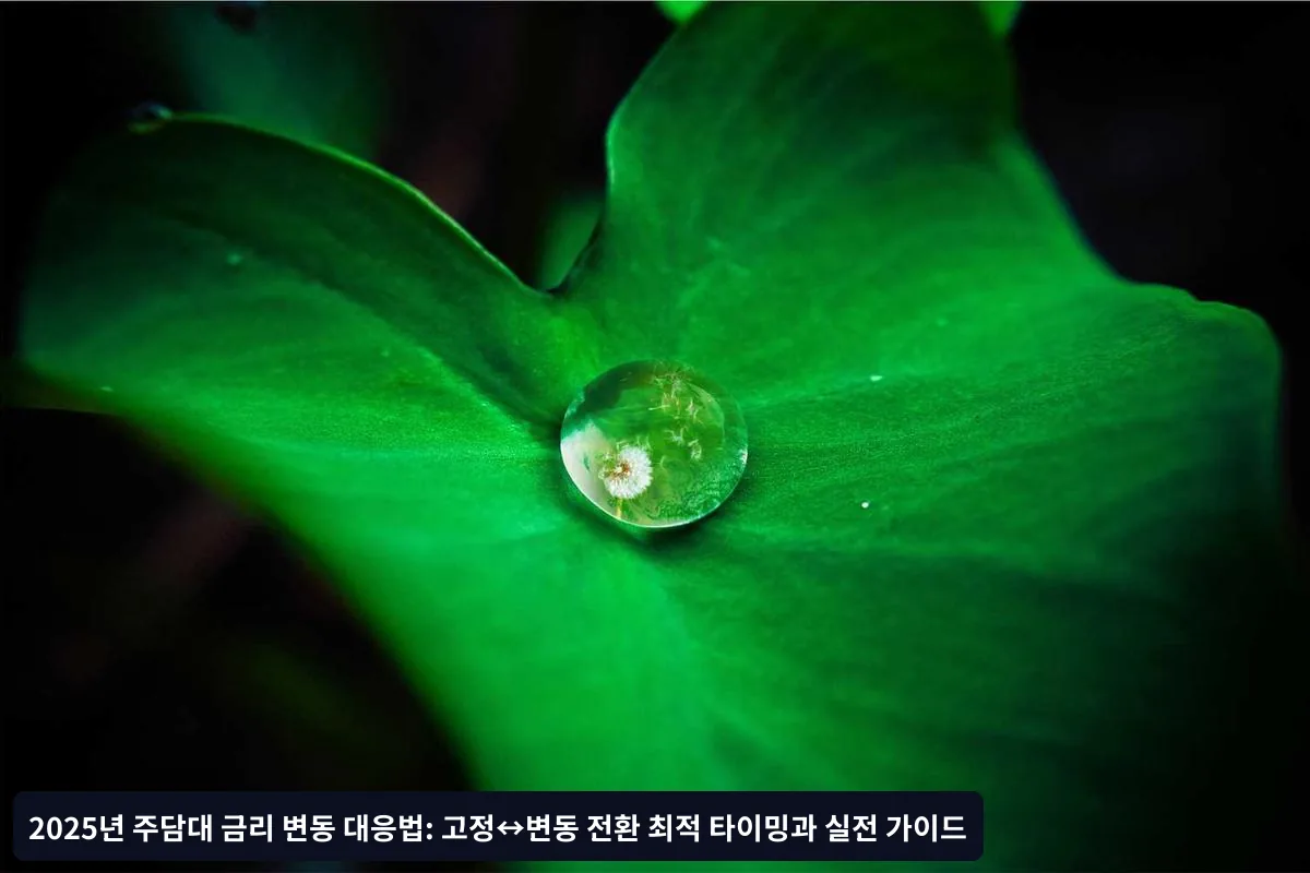 전환 신청 전 준비사항