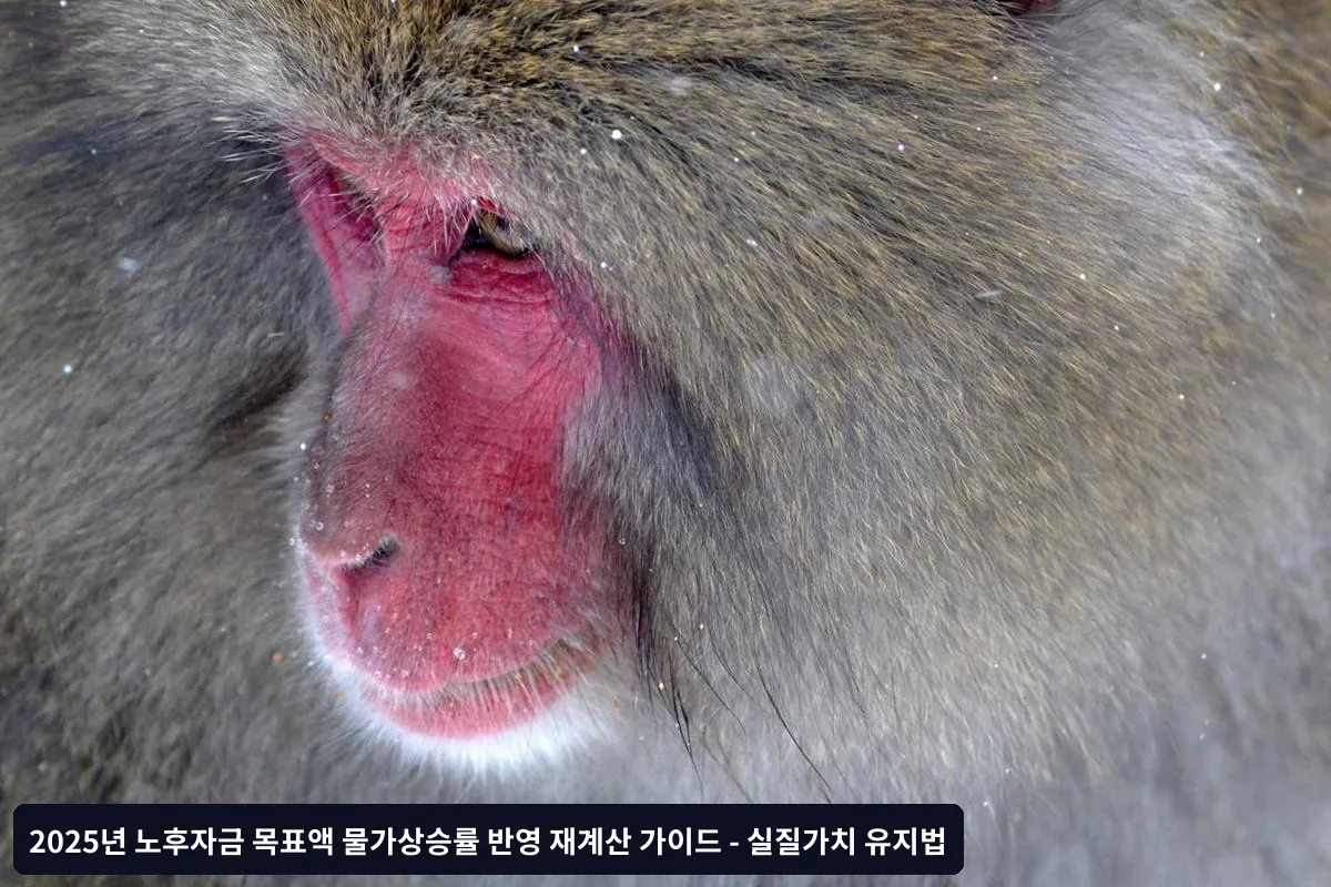 1단계: 현재 필요 생활비 정확히 파악하기