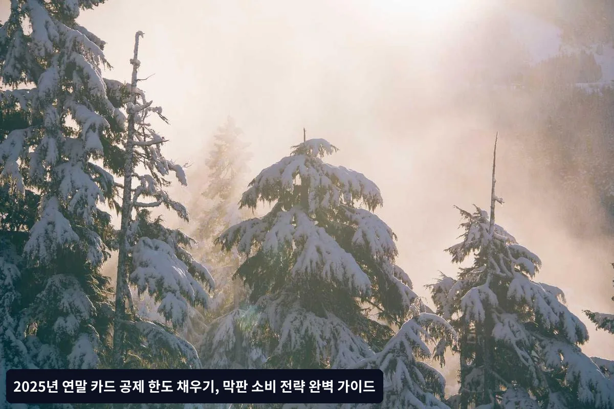12월 집중 체크카드 전략