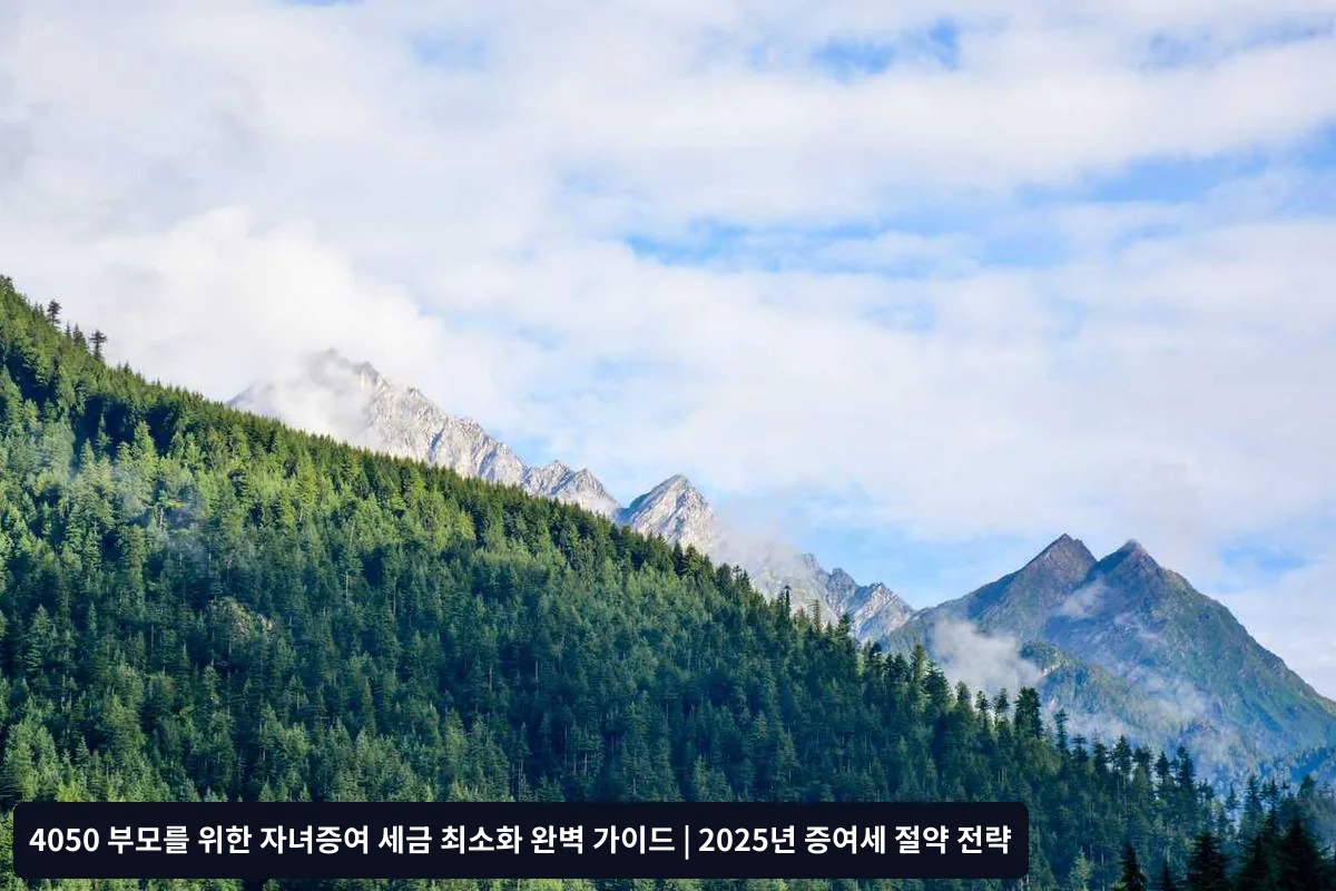 연도별 분할 증여로 공제한도 최대 활용하기