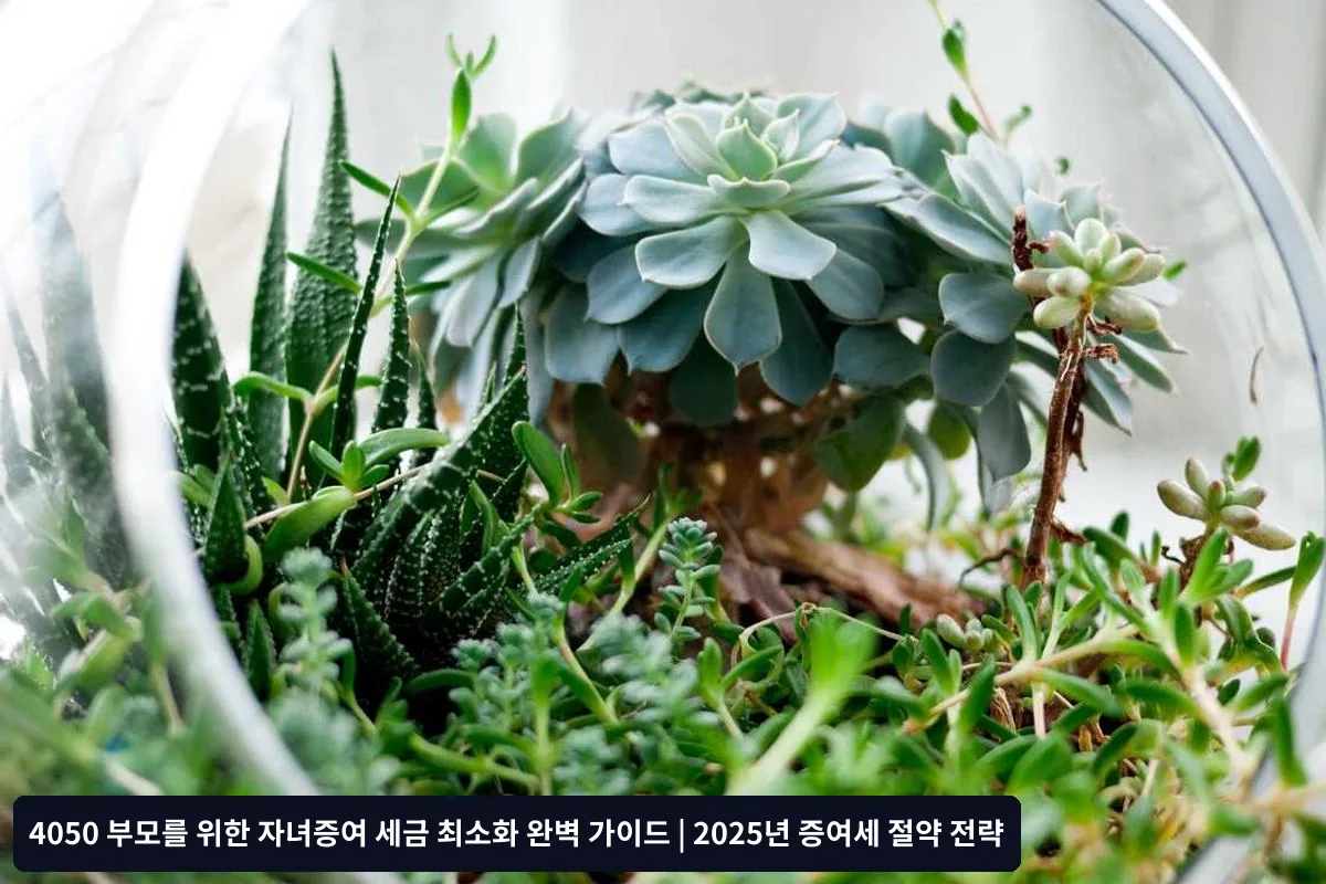 연금을 활용한 장기 절세 전략