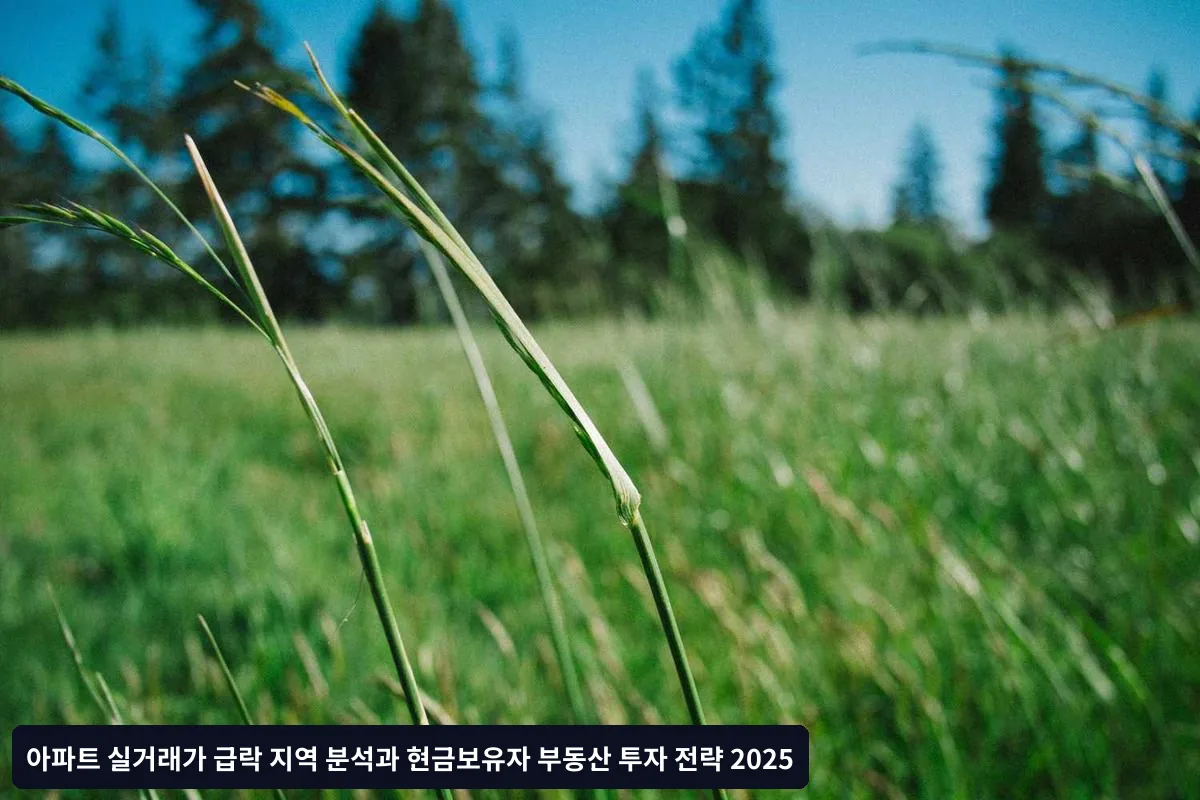 성공적인 투자를 위한 실행 가이드