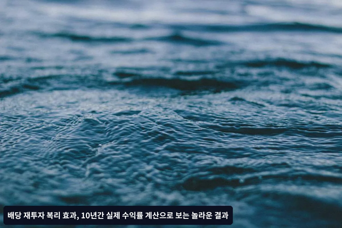 고배당 함정 피하기