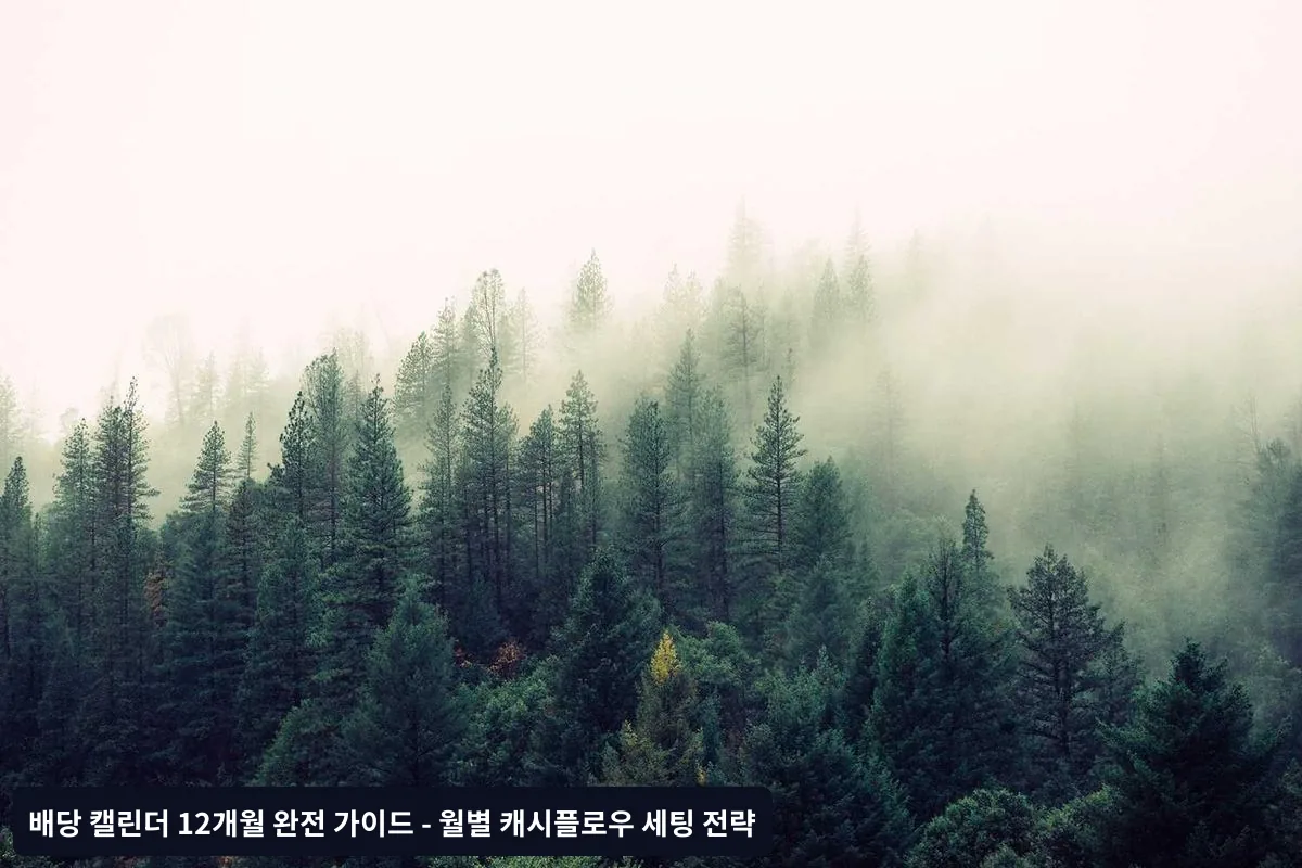 배당 캘린더 성과 측정 및 개선 방법