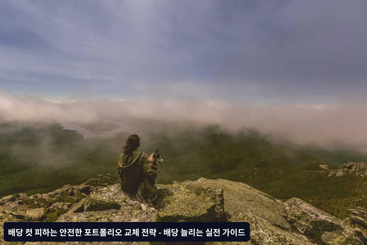 포트폴리오 교체 시점을 정확히 판단하는 기준