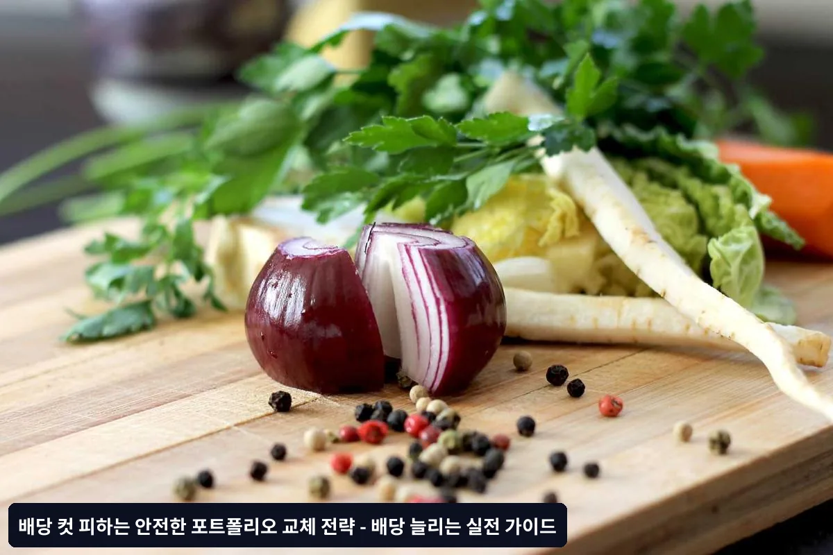 포트폴리오 교체 시 주의사항과 실수 방지법