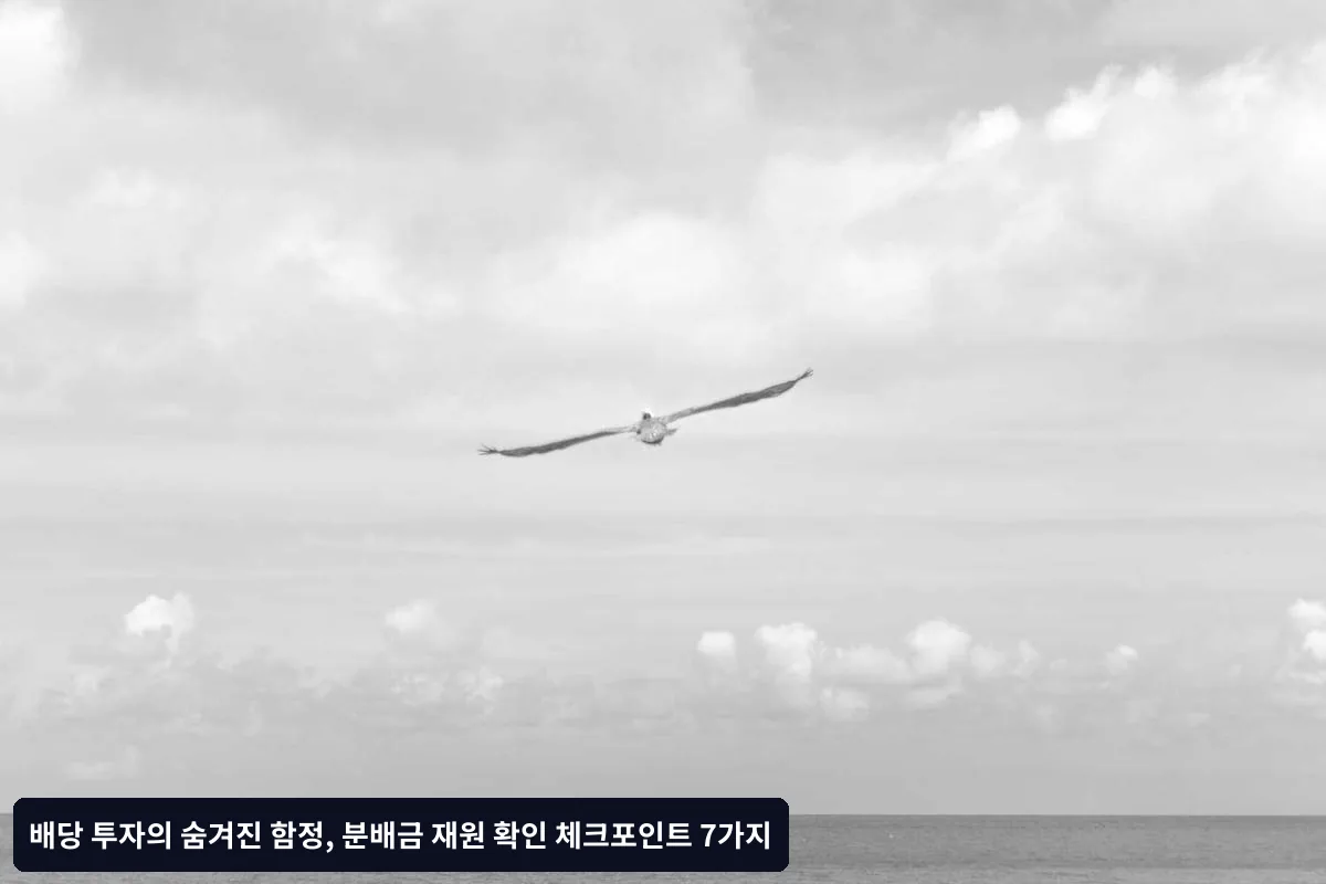 자주 묻는 질문 (FAQ)