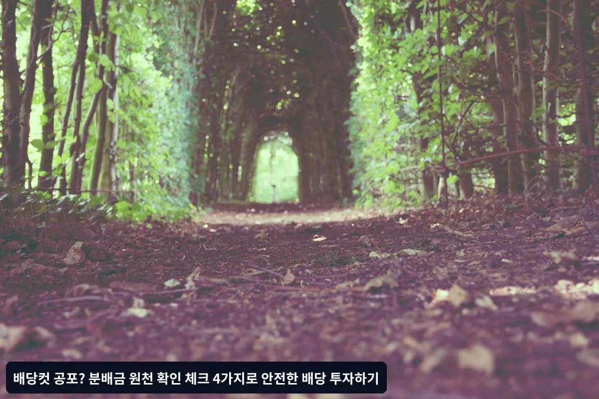 체크포인트 1: 영업현금흐름 대비 배당지급률 확인