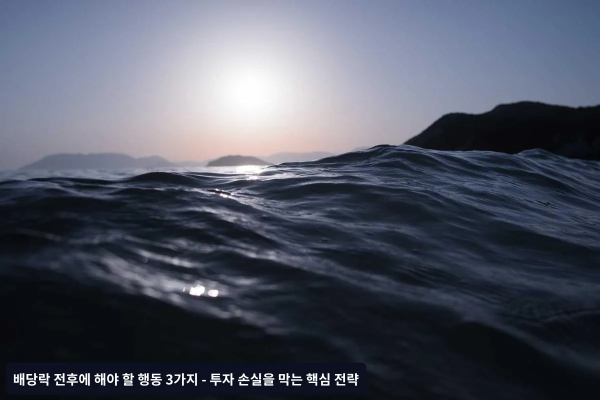 2. 배당락일 당일과 직후 대응 전략