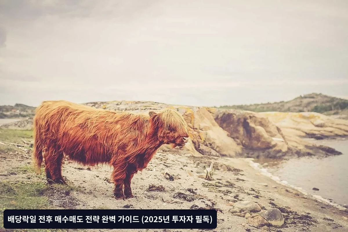 배당주 선별 기준과 실전 노하우