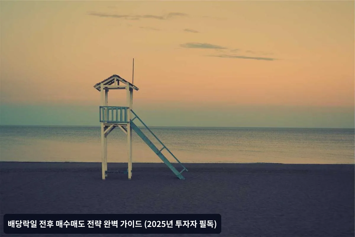 2025년 배당 투자 환경 전망