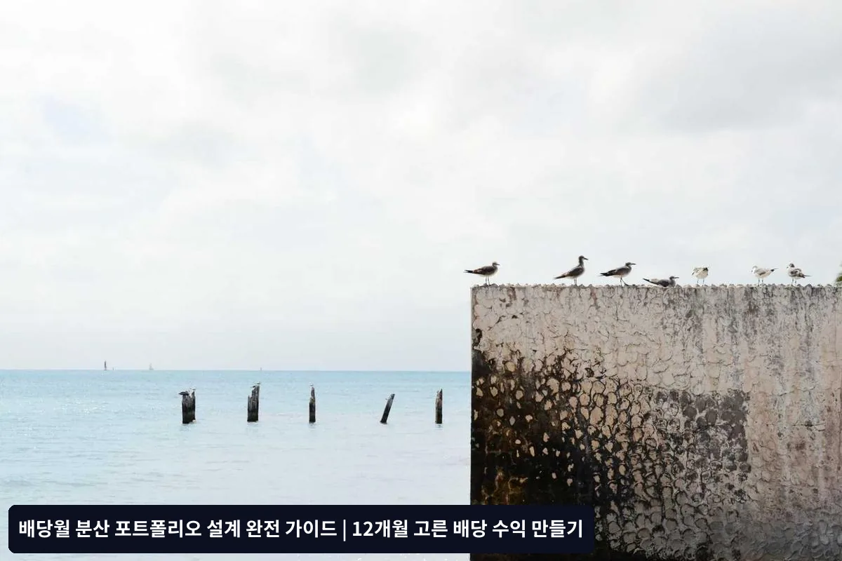 배당월 분산 포트폴리오 관리 실무 팁
