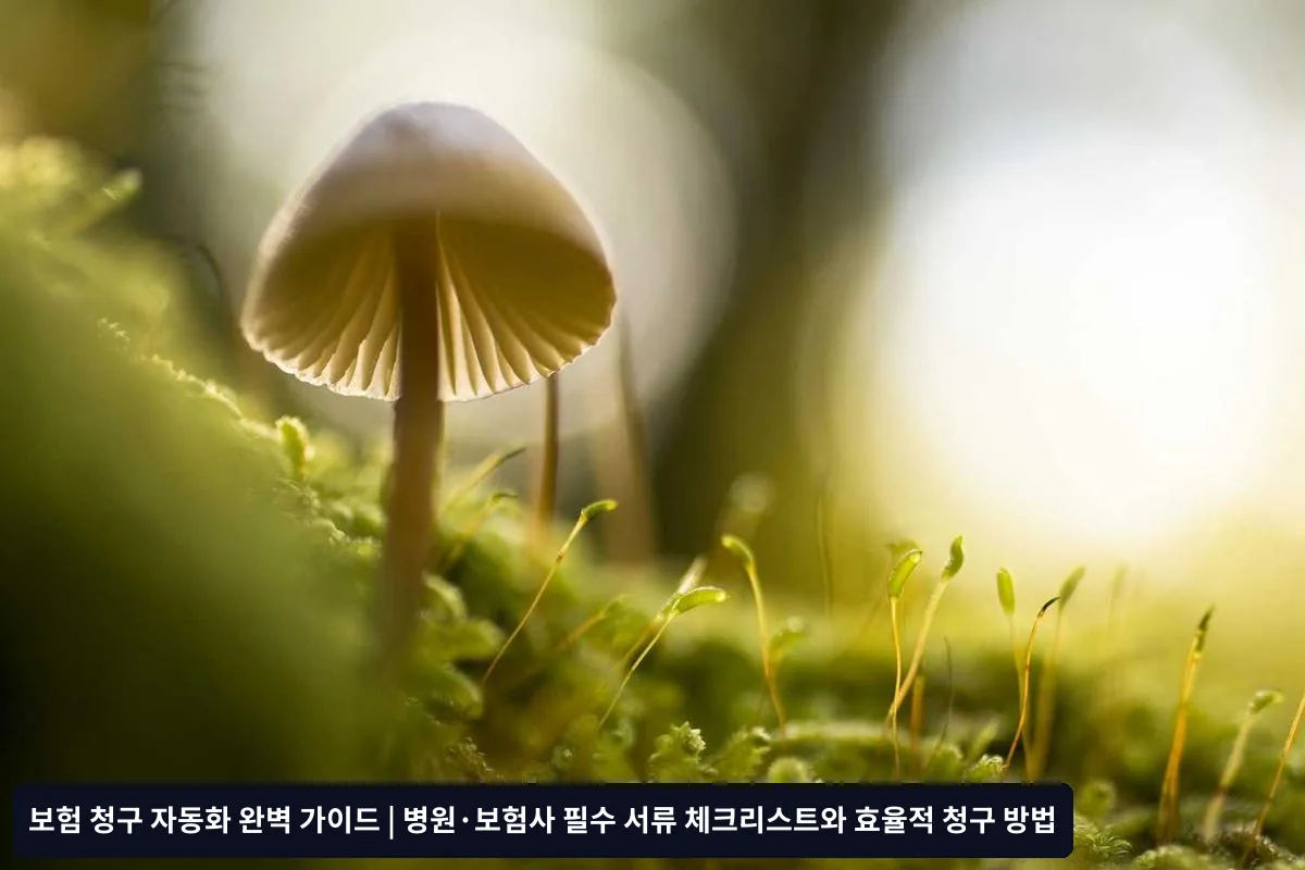 6. 월별 청구 현황 리뷰