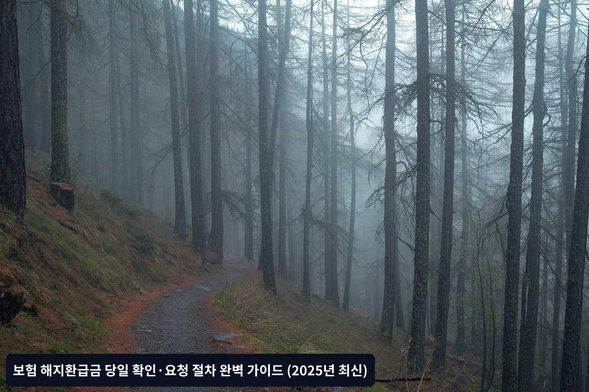 보험사 지점 방문 절차
