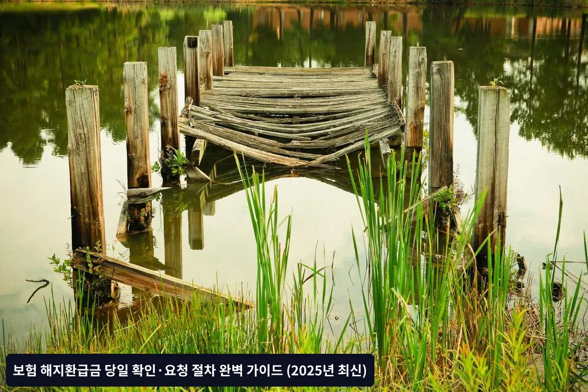 Q2. 해지환급금이 예상보다 적을 때 어떻게 해야 하나요?