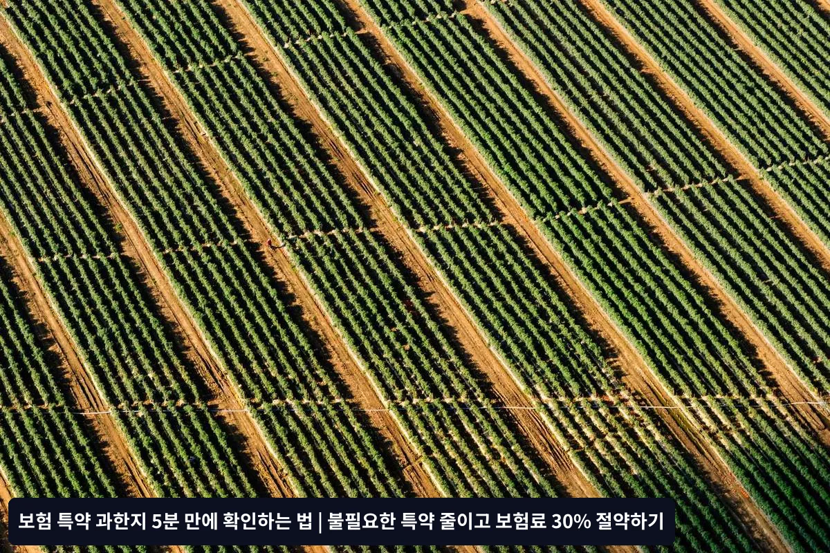 3단계: 대안 보장 마련