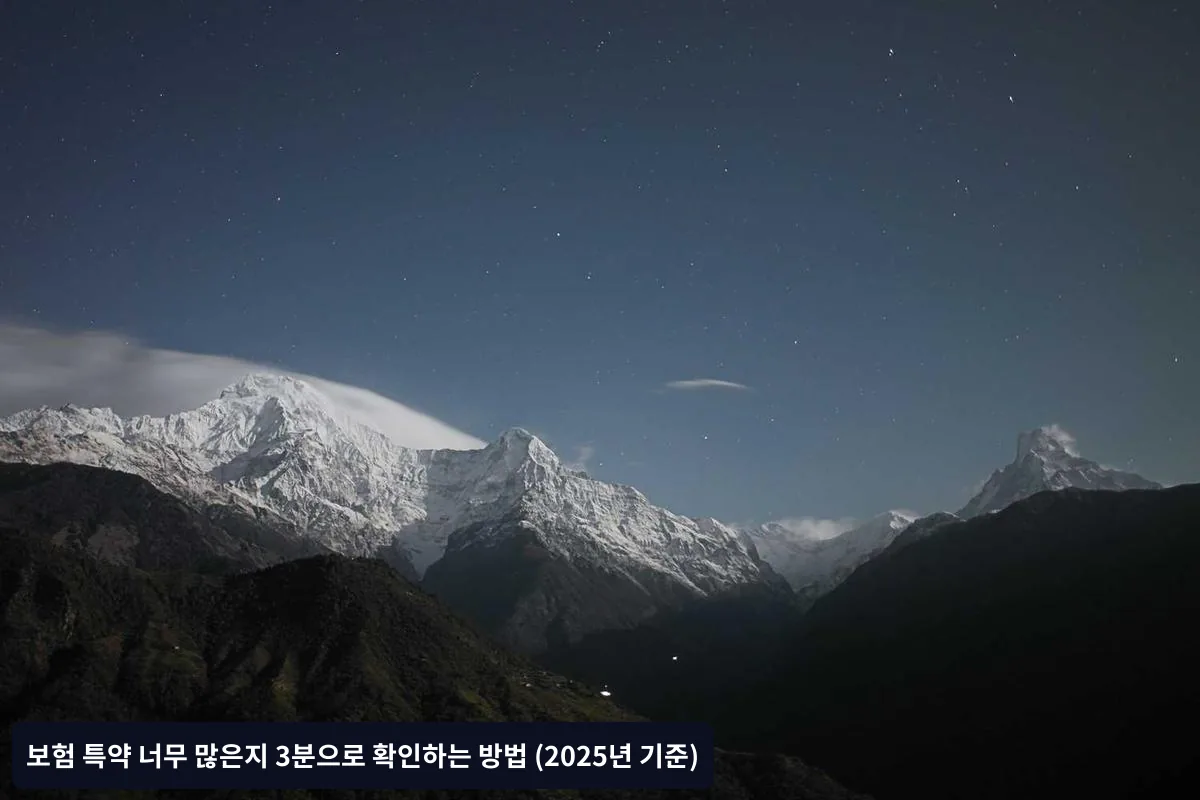 1단계: 기본 정보 확인 (30초)