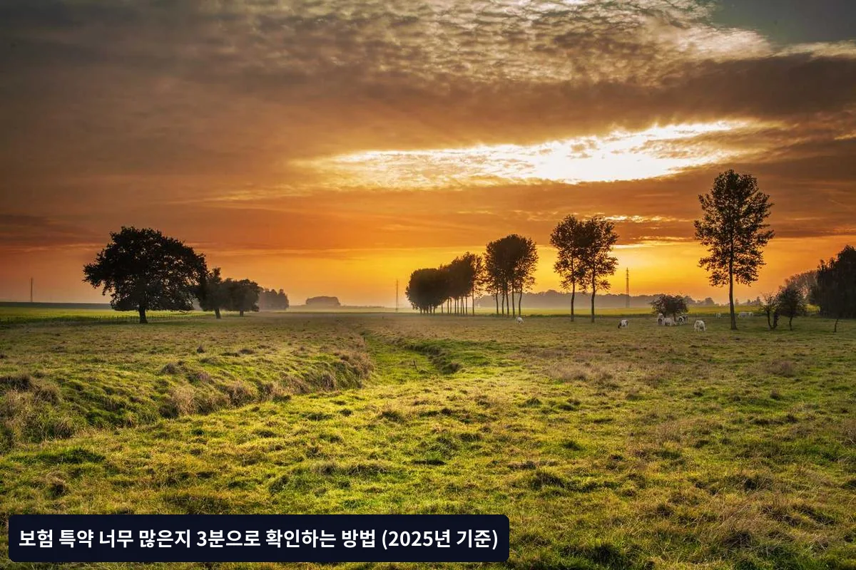 특약 최적화 성공 사례