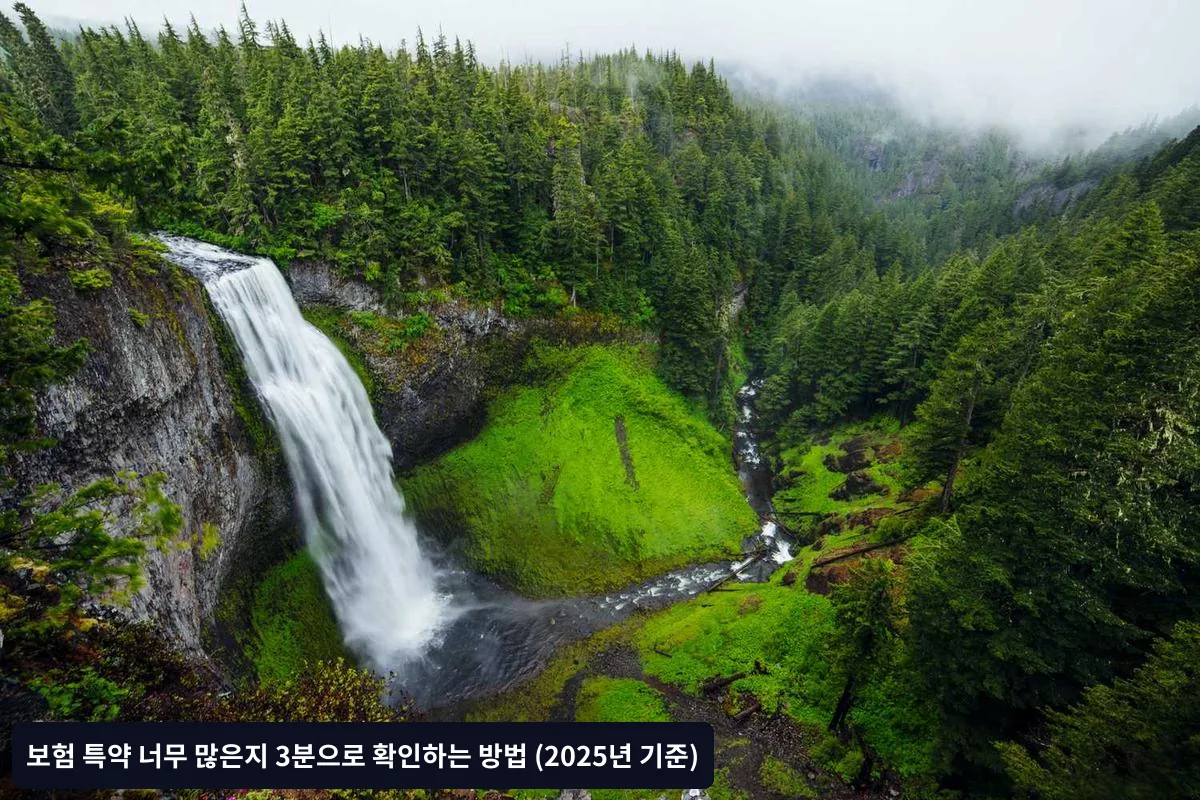 자주 묻는 질문 (FAQ)