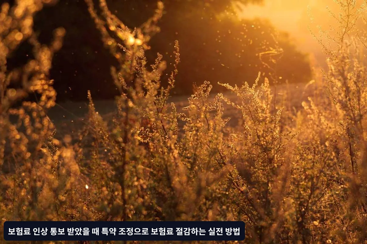 특약 조정 실전 기법