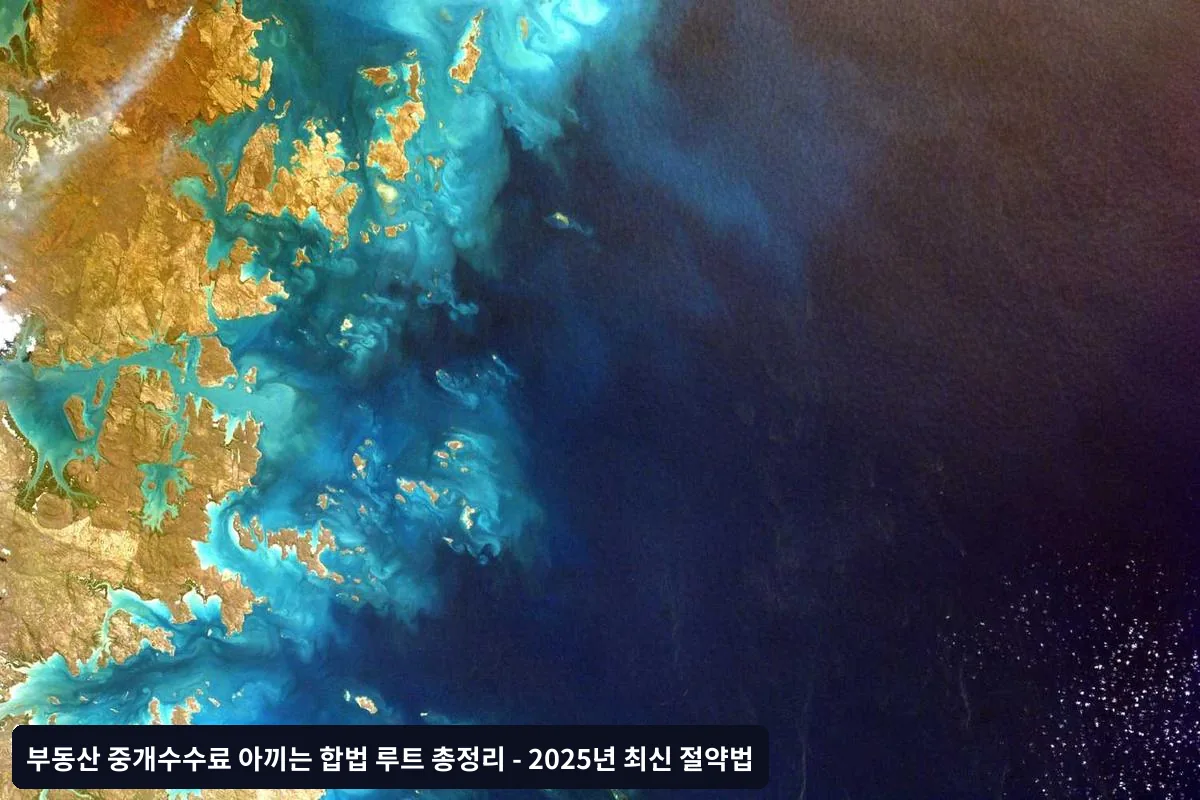 단계별 실행 가이드