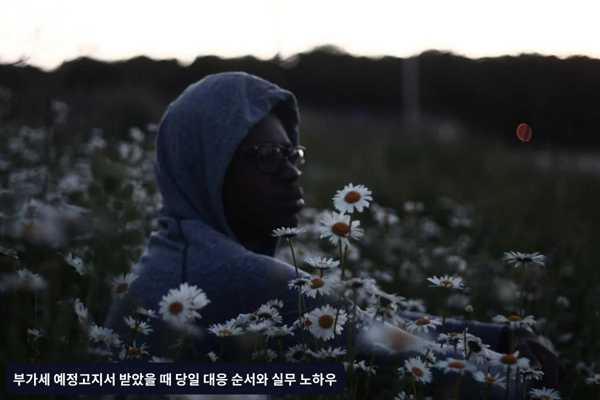 이의신청 방법과 주의사항