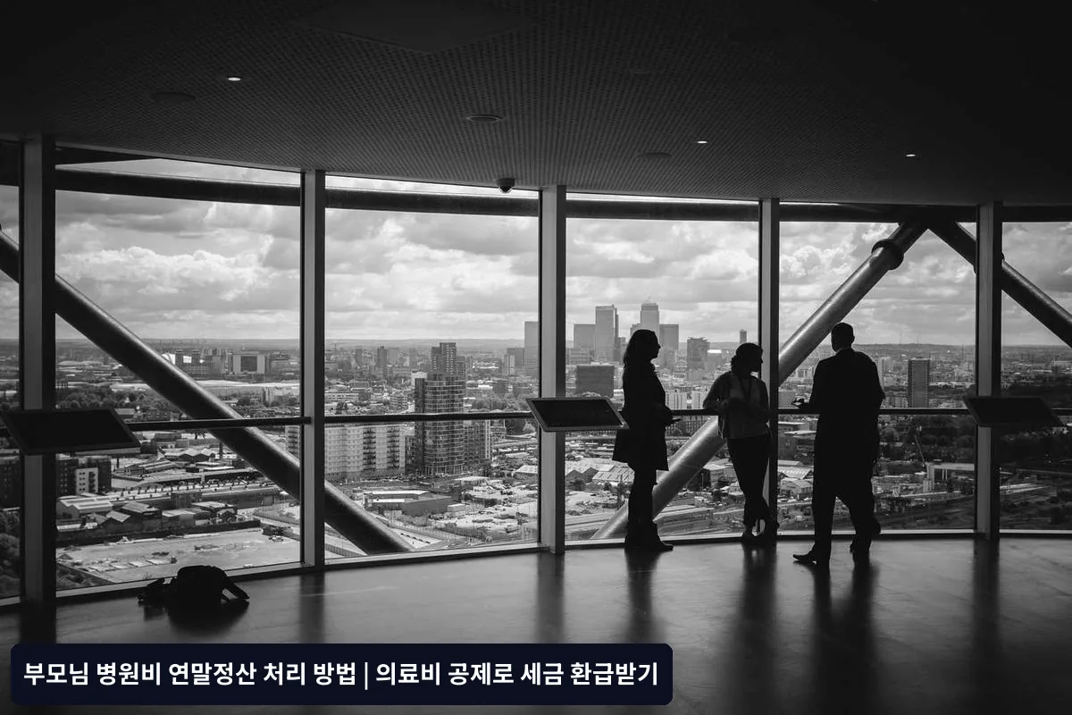 공제 가능한 의료비 범위와 제외 항목
