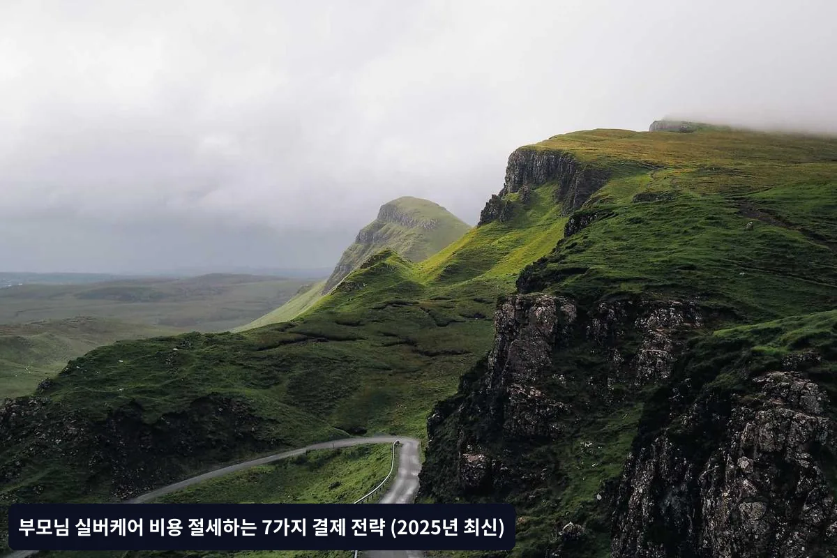 장기요양보험 신청 절차