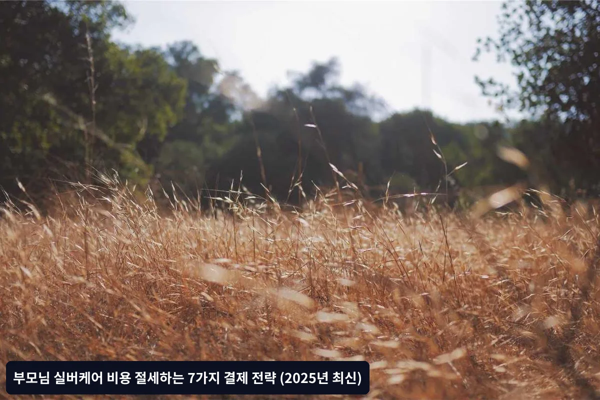연말정산 준비사항