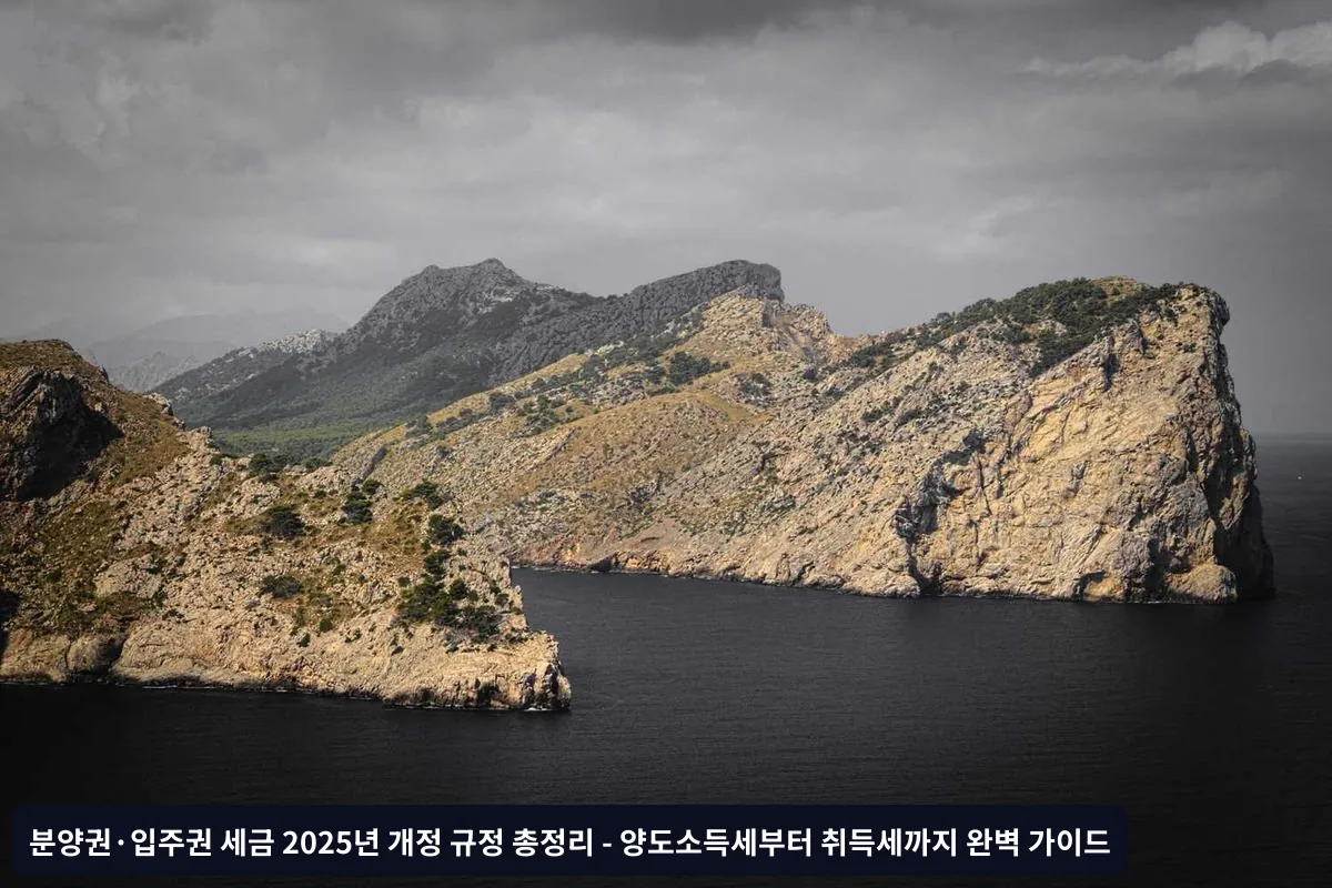 2025년 양도소득세 개정 내용과 실제 적용 사례