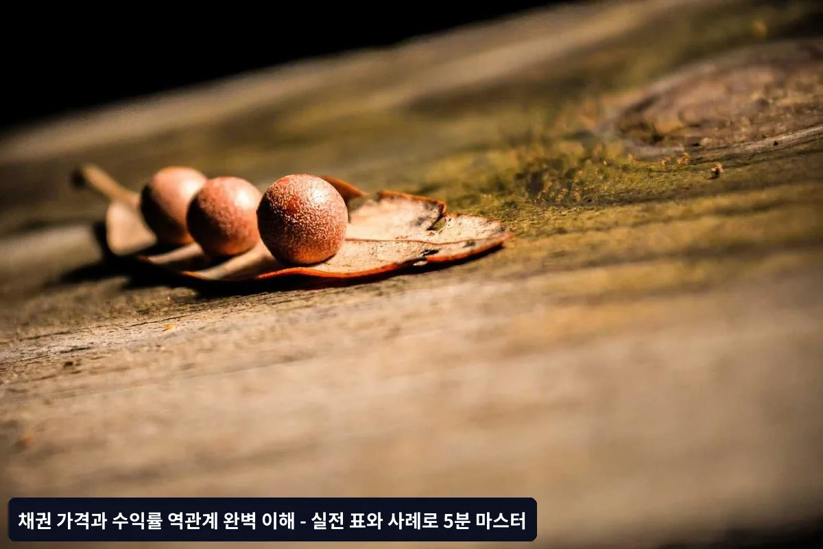 실제 계산 예시로 이해하는 채권 가격 변동