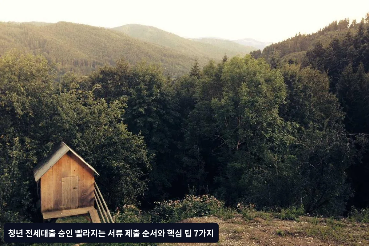 시중은행 vs 인터넷은행 승인 속도 비교