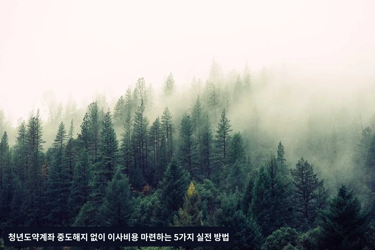 방법 1: 청년 전용 대출 상품 활용하기