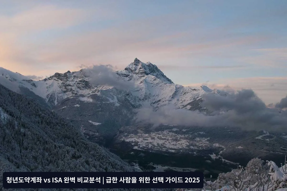 상황별 맞춤 선택 가이드