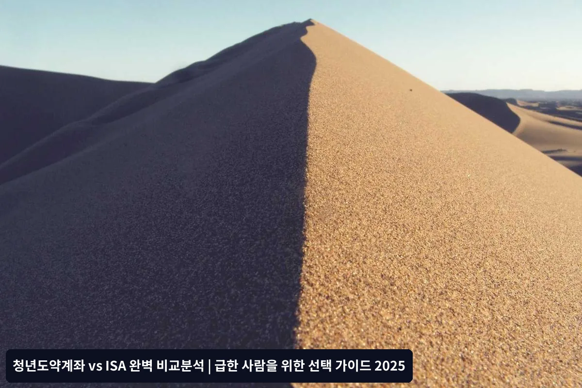 2025년 기준 추가 변경사항과 주의사항